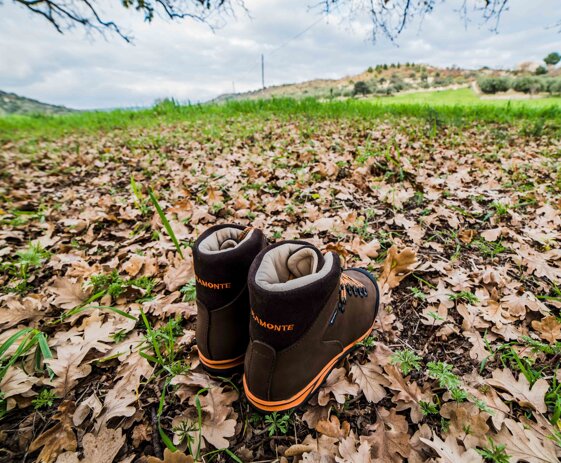 7fb2447b-9424-4d3e-92d6-ecbd47a3687c