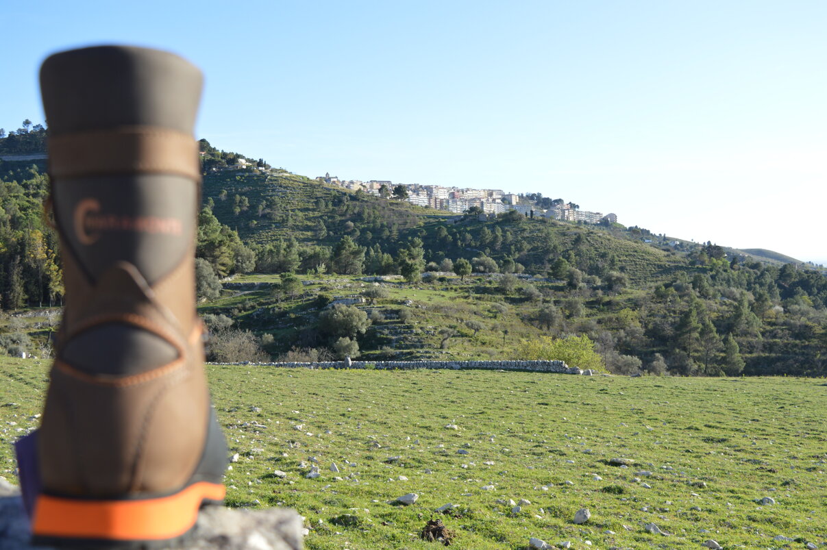 ba72bded-10cc-476c-92f0-960ec2f1062a