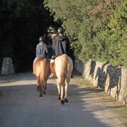 9108a627-9dc1-40dc-9276-b16774ba8d9e