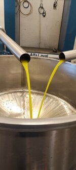 olio-extravergine-di-oliva-bio-prodotto-in-calabria-bottiglia-pet