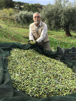 olio-extravergine-di-oliva-bio-prodotto-in-calabria-bottiglia-pet