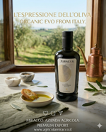 olio-extravergine-di-oliva-bio-prodotto-in-calabria-in-bottiglia-da-500ml