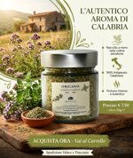 origano-selvatico-a-foglie-calabrese-gr50