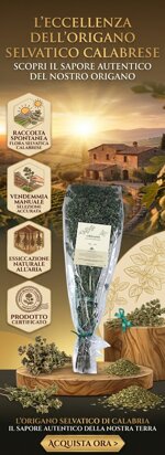 origano-selvatico-calabrese-mazzo-gr50