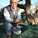 olio-extravergine-di-oliva-bio-prodotto-in-calabria-in-bottiglia-da-500ml