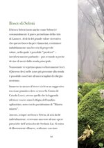 sei-passeggiate-nei-boschi