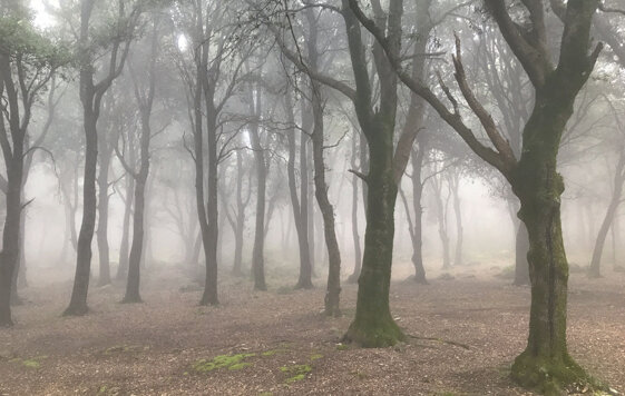 776b65eb-9cd1-4984-ba0a-be3a7bcbf137