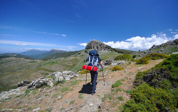 28e5a477-376f-4071-8745-80f3b847cd0b