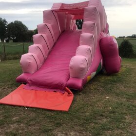 daysi dino colorato gonfiabile rosa a forma di dinosauro, con i suoi 6m di profondità, largo 3,5m e alto 3,5m