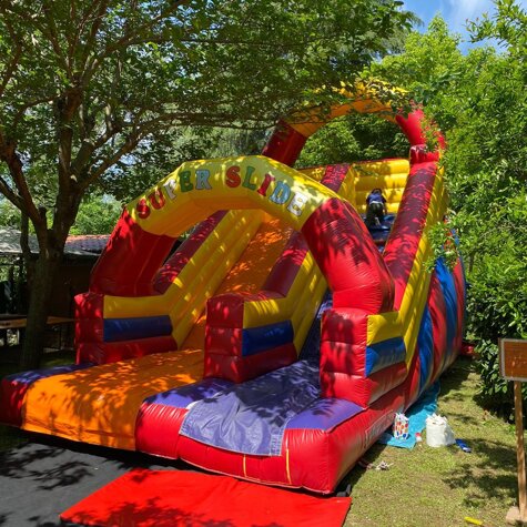 super slide climb Con questo gonfiabile la tua festa sarà unica e tutti i bambini ti adoreranno