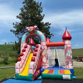 pink castle il gonfiabile adatto a tutte le feste, i tuoi bimbi impazziranno di gioia. prof di 4,5m e 4m in h/l pink castle il gonfiabile adatto a tutte le feste, i tuoi bimbi impazziranno di gioia. prof di 4,5m e 4m in h/l