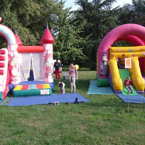 pink castle& bounce slide clown Con questi 2 gonfiabili la tua festa sarà unica e tutti i bambini ti adoreranno