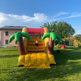 snake slide tutti i bimbi vorranno saltare sul serpente e scivolare giù veloci. lungo 7m alto3.5m e largo 3,5m