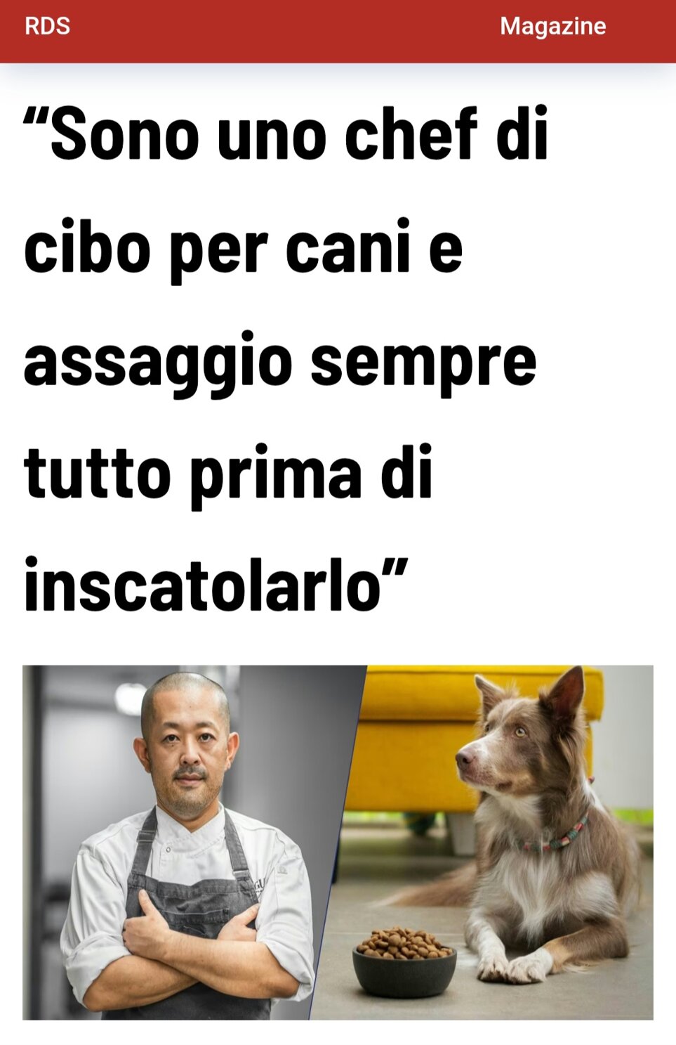 266b0bc8-6d7d-406f-a38b-a90ce0560467