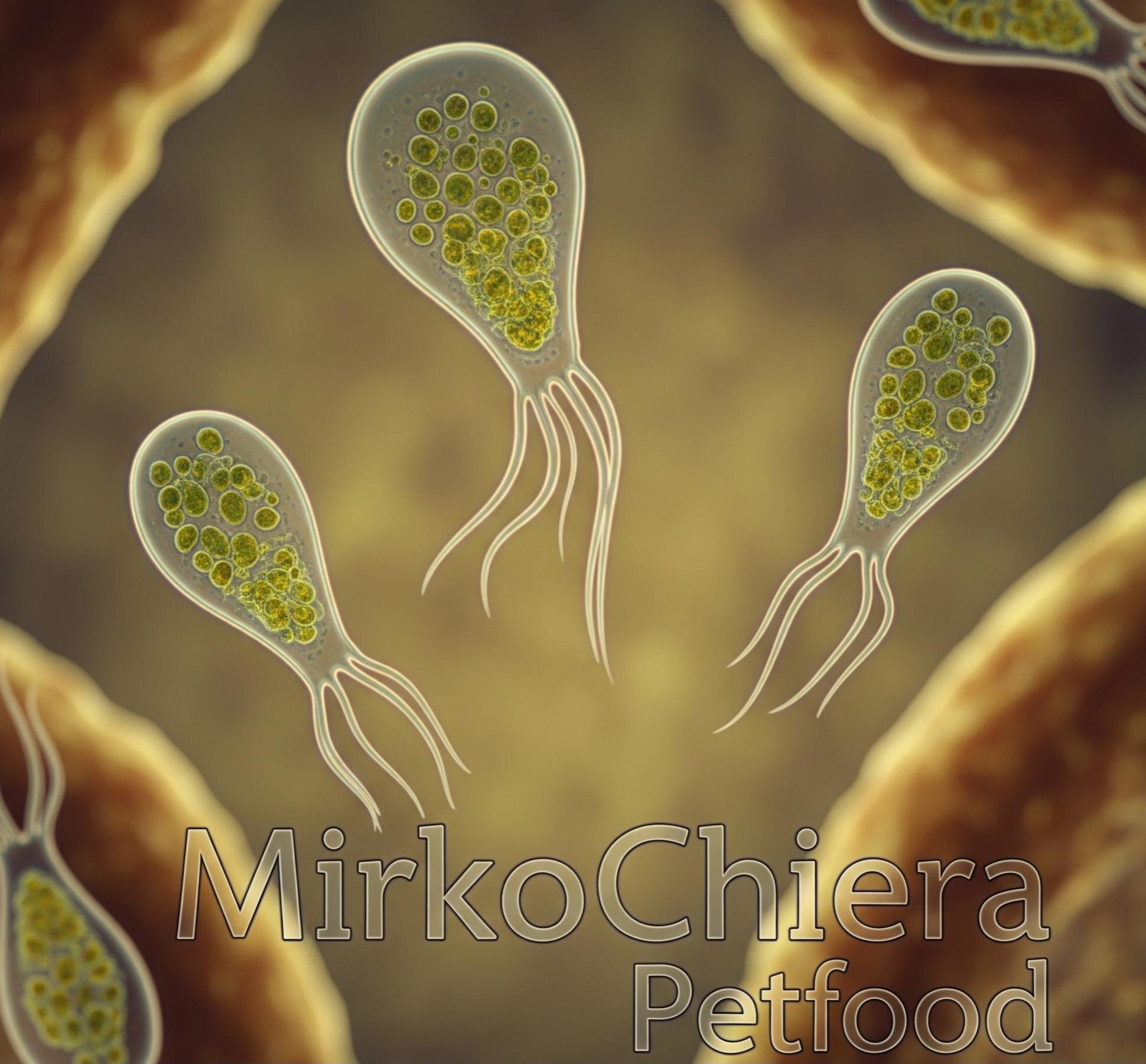 La Giardia nel Cane: Cos'è e Come Gestirla, anche con l'Alimentazione La Giardia nel Cane: Cos'è e Come Gestirla, anche con l'Alimentazione