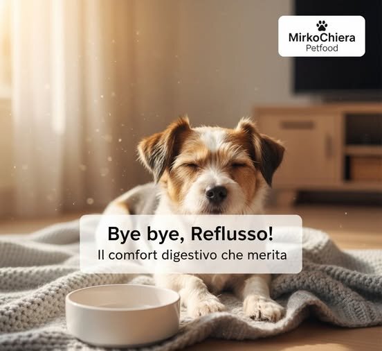 Il reflusso gastrico nel cane: un problema da non sottovalutare. Il reflusso gastrico nel cane: un problema da non sottovalutare.