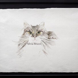 Rufio mio! visibile in LAB