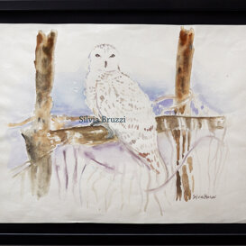 Controllando il cosmo visibile in LAB