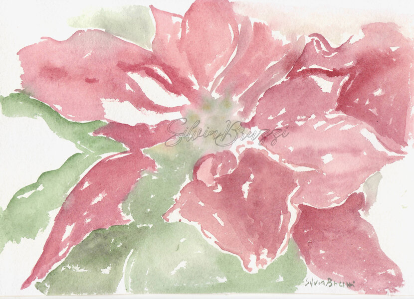 acquarello su carta 30x40cm disponibile