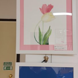 Opera di Patrizia Acquarello Papavero