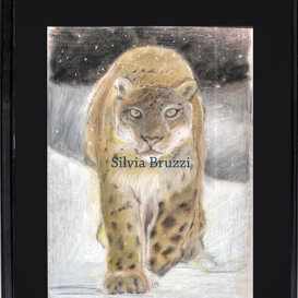 Spostati devo passare- gessetto visibile in LAB