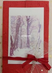 Giardini Margherita e la neve https://www.silviabruzziarte.com/store/product/biglietti-augurali-tratti-dai-miei-dipinti