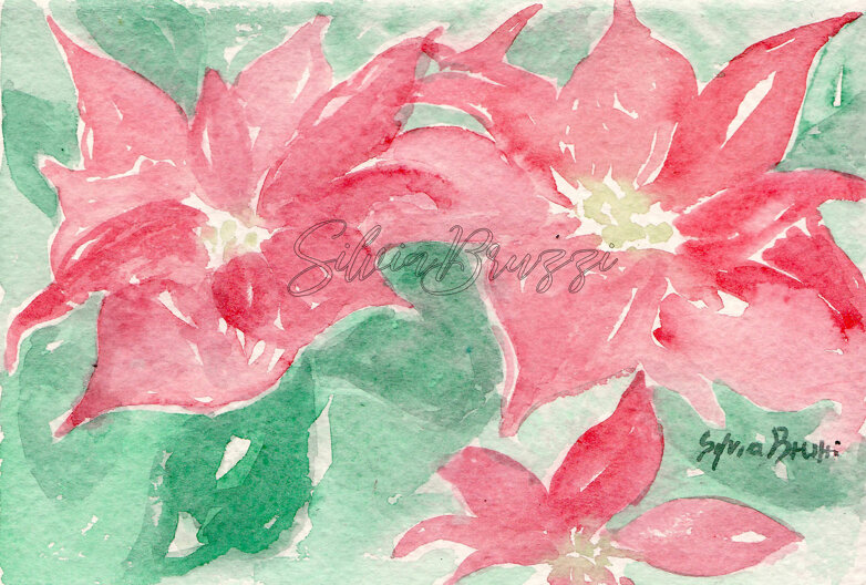 acquarello su carta biglietto 12x18cm disponibile