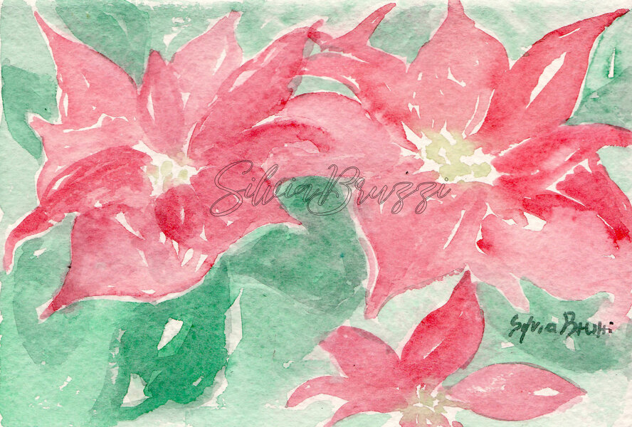 acquarello su carta biglietto 12x18cm disponibile