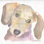 acquarelli-sugli-animali