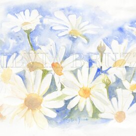 Margherite Disponibile- 35x50cm