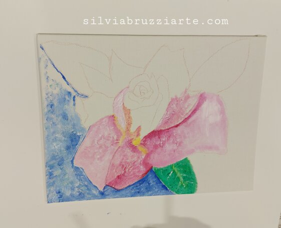 b00e12ed-6f10-440e-a19b-9450f4f7c48b