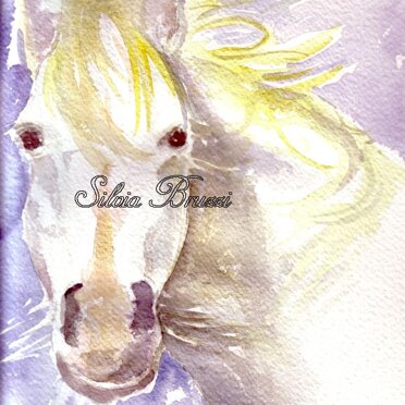 Acquarelli sui Cavalli