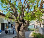 promo-regala-il-corsoarte-di-4h