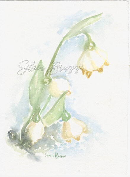 acquarello su carta 15x20cm disponibile