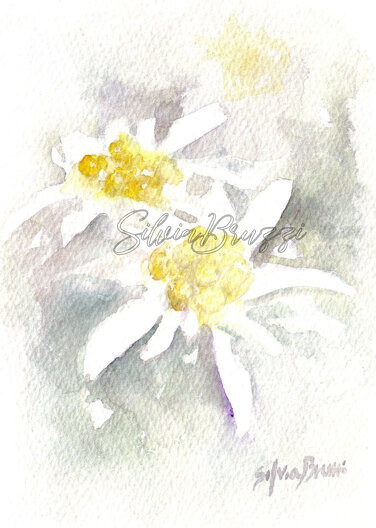 acquarello 12x18cm biglietto disponibile