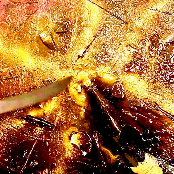 a82f4db6-3517-4b98-933a-e8cafcf79b8b