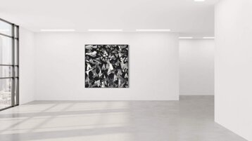 6e9f2507-4e5b-4506-ae29-93f25537e369.jpeg 6e9f2507-4e5b-4506-ae29-93f25537e369.jpeg