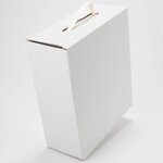 scatola-bag-in-box-da-3-lt