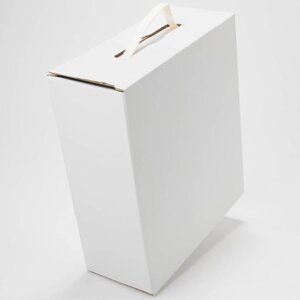 scatola-bag-in-box-da-5-lt