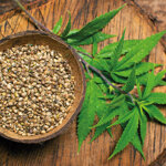 shampoo-struttura-rigen