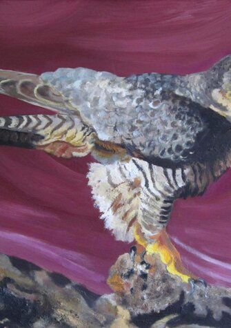 VOLATILE.. olio su tavola - 1997 - 50x60