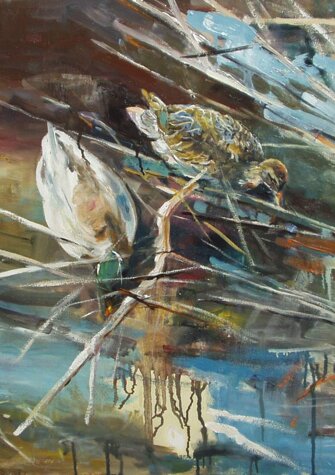 ANATRE NEL LAGHETTO DI MELTA olio su tela - 2004 - 80x100