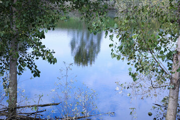 8135c0ea-9adc-4737-a80e-204e303b60f7