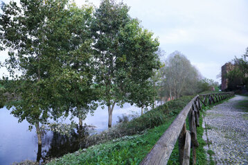 2f4bc12c-6f4d-4644-9433-3ca056bb4099