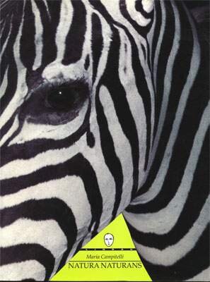 3e141d9b-a3b1-4477-a253-4bbd7cf561bd.jpeg 3e141d9b-a3b1-4477-a253-4bbd7cf561bd.jpeg