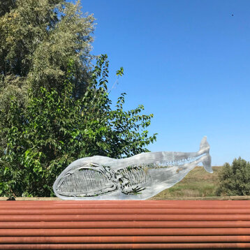 cccf6cc5-2008-4656-be65-767e4dfa23ac