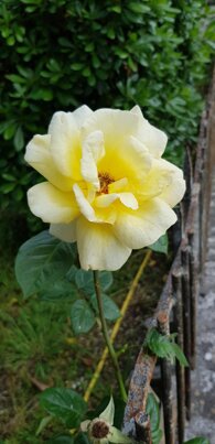 30d6d9eb-df93-46c9-9018-ee51349a6250