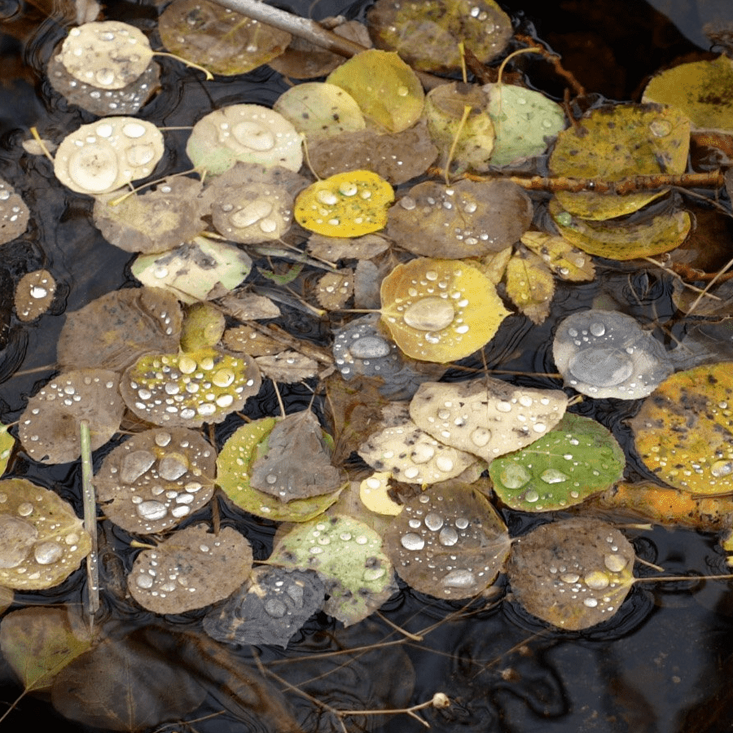 146583d4-e91d-40bb-b54b-e5fe1b2ec4fc