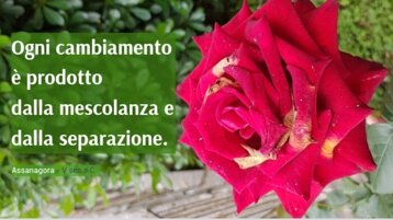 bf4b0127-d8d2-46b1-a9b9-efe08349ad4e