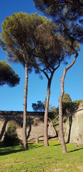 Flessibilit� romana